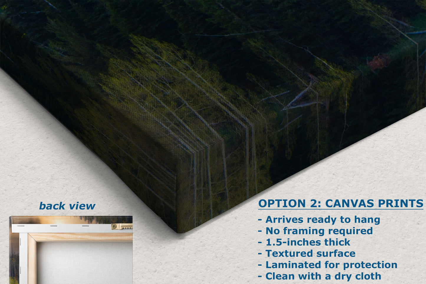 Aspen Tree Forest Picture Nature Photo, Forest Bathing Relaxation Artwork Dopamine Decor for Meditation, Bedroom, Living Room, and Office