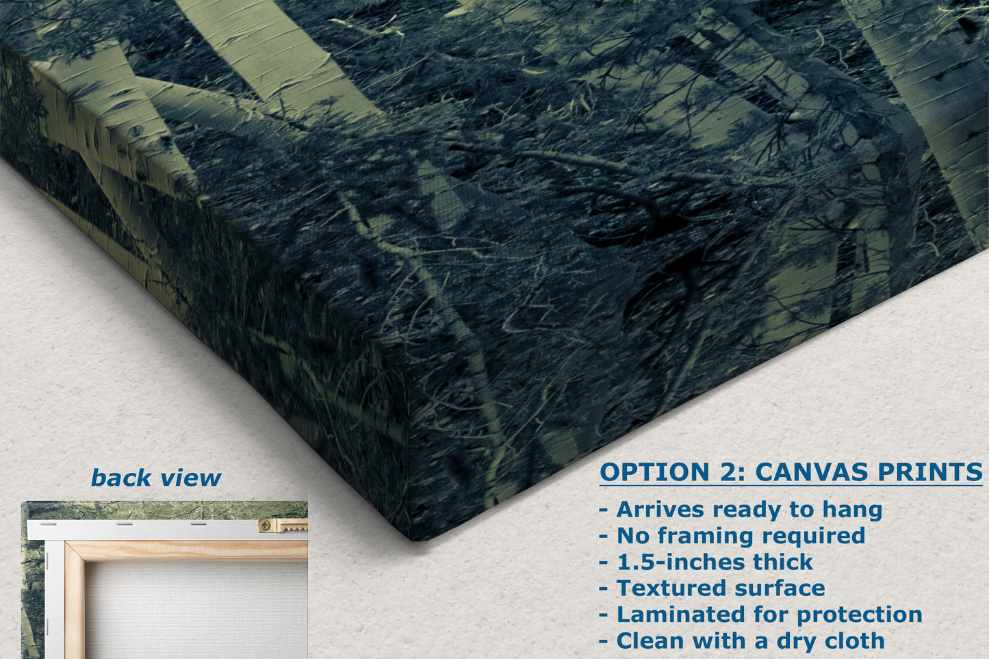 Aspen Tree Forest Picture Nature Photo, Forest Bathing Relaxation Artwork, Rustic Wall Art for Bedroom, Office, & House Decor