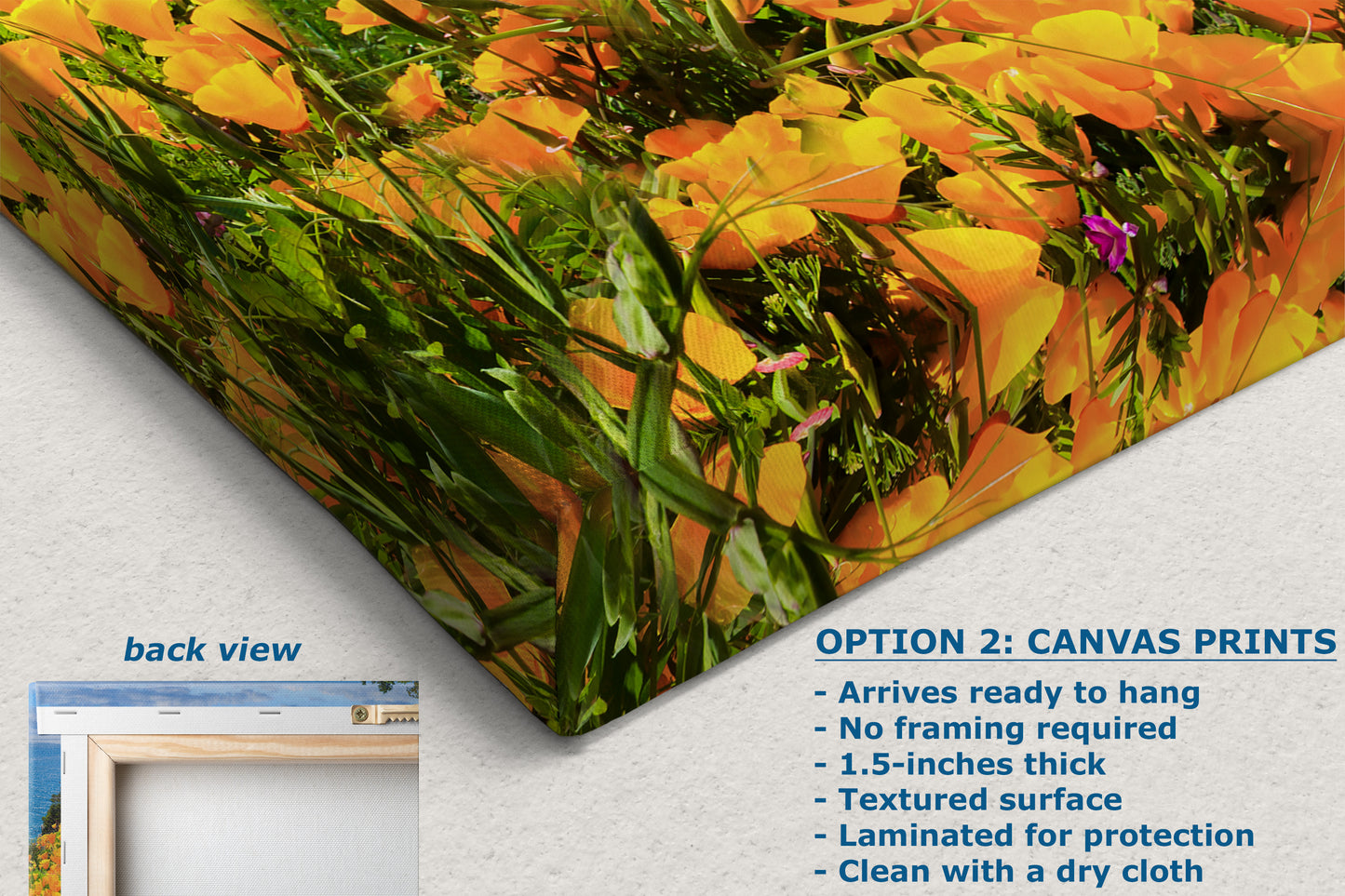 McWay Falls Wall Art Ocean Picture, Big Sur California Coastline Nature Photo