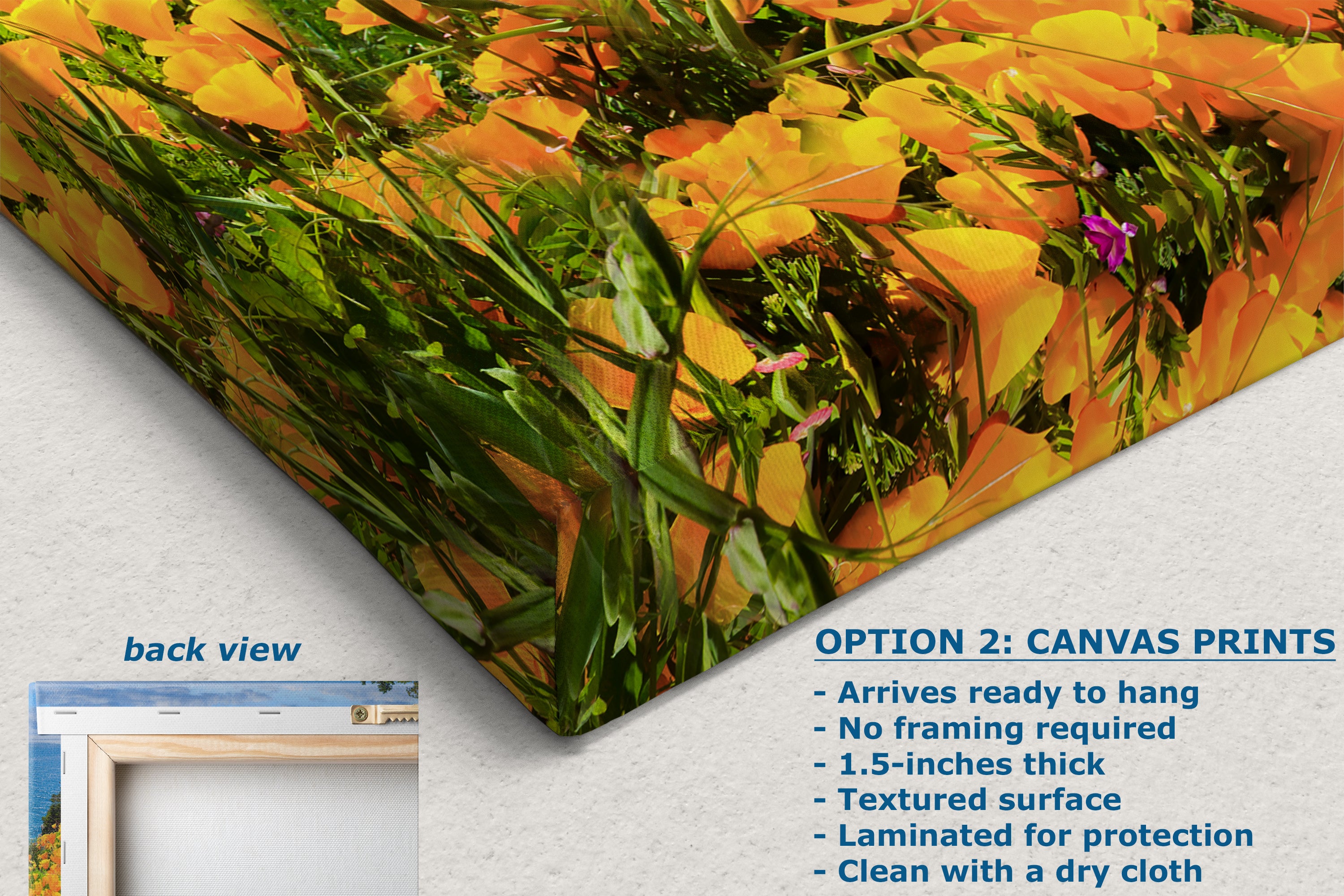 McWay Falls Wall Art Ocean Picture, Big Sur California Coastline Nature Photo