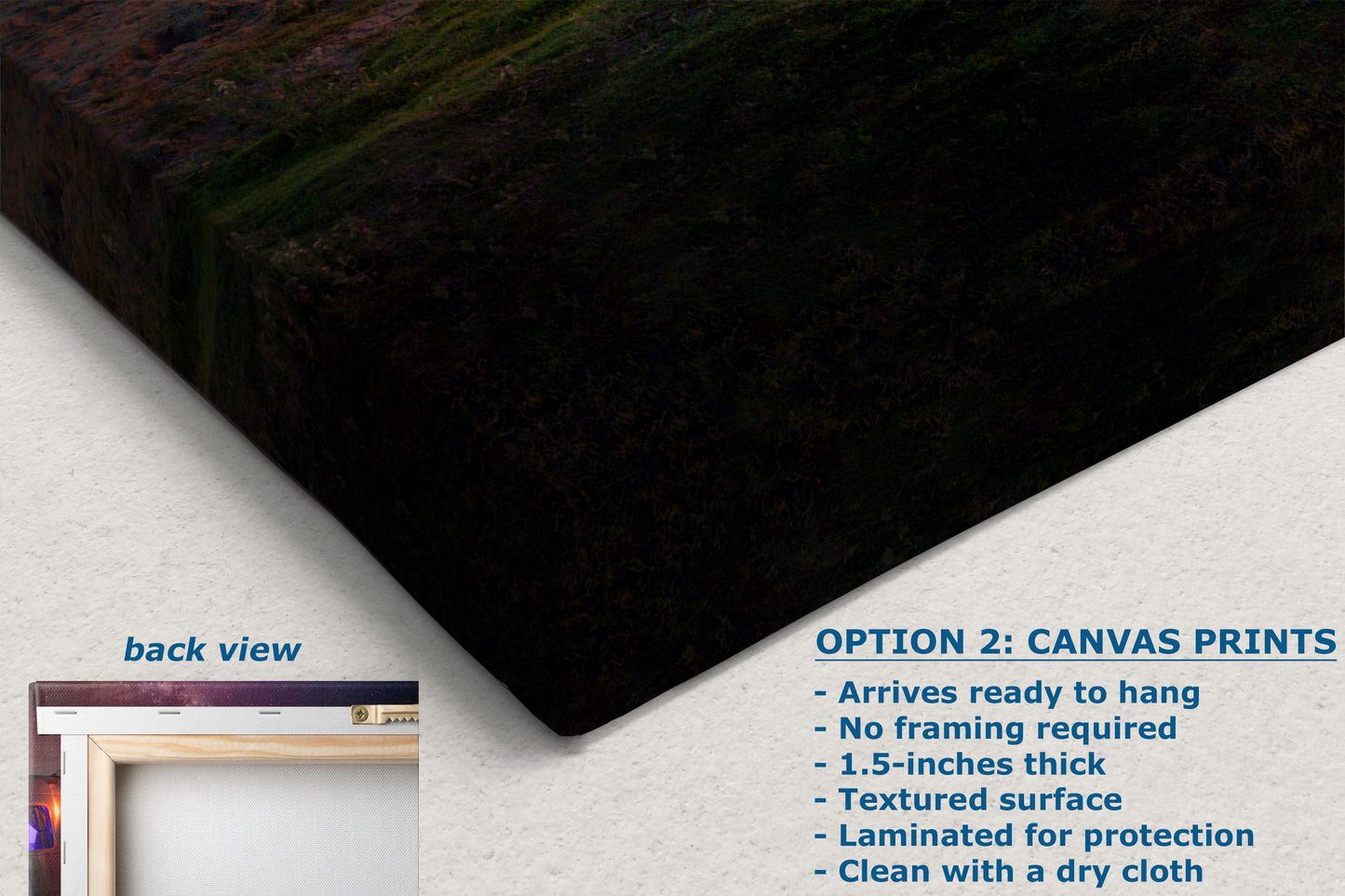 Airstream Travel Trailer Art Night Scene in San Diego, California Campsite Camping Decoration in Canvas, Paper, and Metal Wall Art