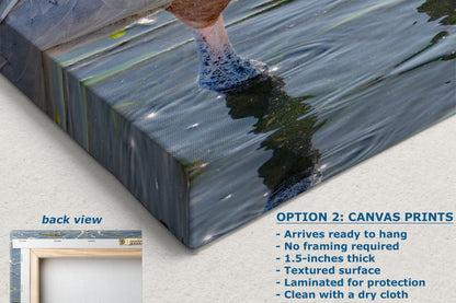 Great Blue Heron Art Wildlife Photography, Nature Wall Decor for Bird Lovers, Ocean Conservation, Relaxing Office or Room Artwork