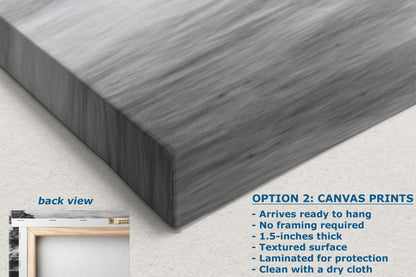 Point Lobos Carmel California Coastline Abstract Ocean Picture, Relaxation Artwork Nature Photo for Meditation, Office, Dorm, House Decor