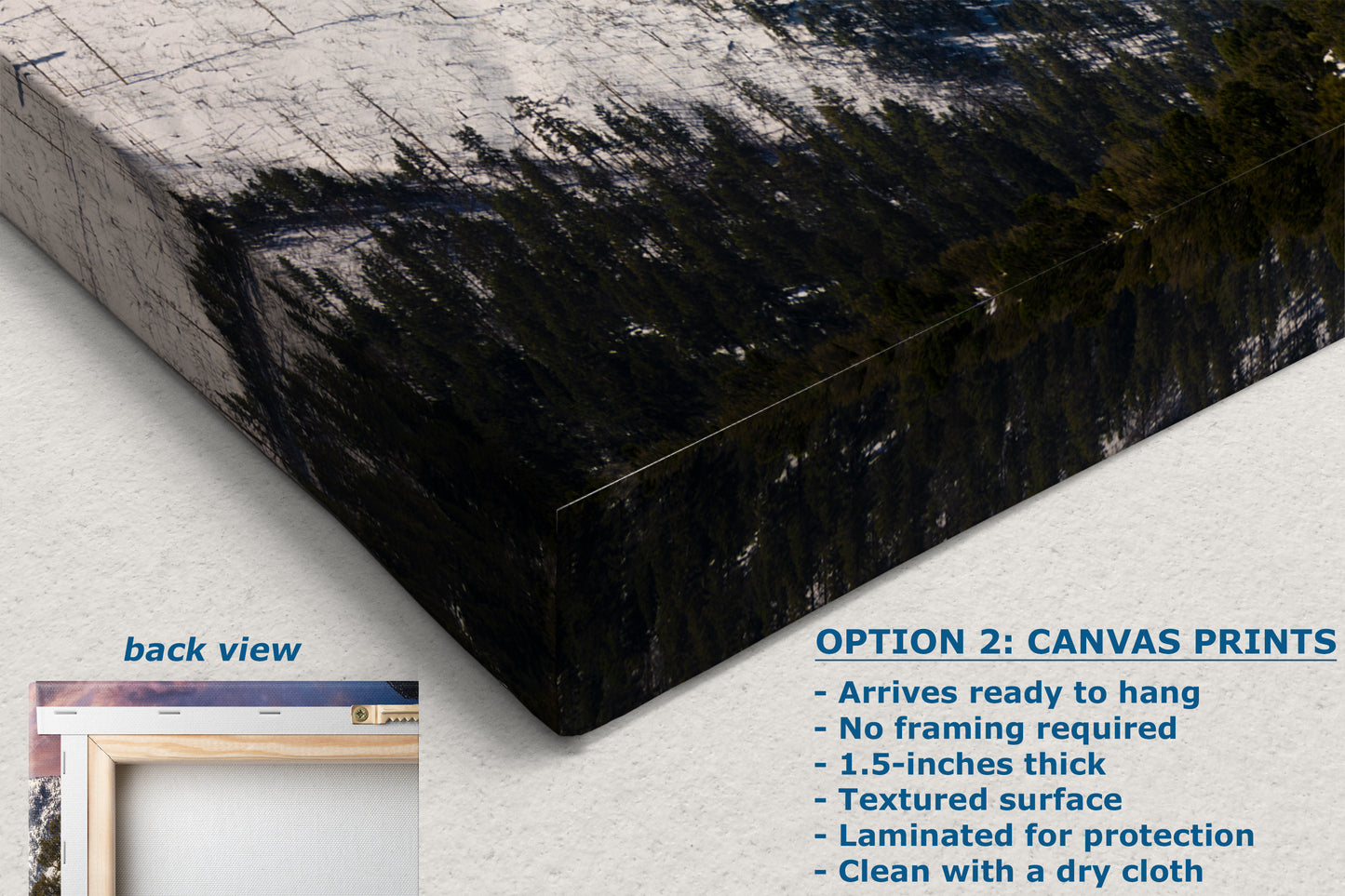 Mt Charleston Nevada Mountain Picture, Snowy Scenery Nature Photo Relaxation Artwork, Winter Landscape for Office, Dorm, Bohemian Decor