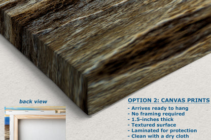 Death Valley National Park California Desert Picture Nature Photo, Badwater Basin Salt Flats and Telescope Peak Sunset Photo for House Decor