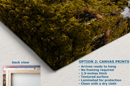 Mt Charleston Nevada Mountain Picture, Snowy Scenery Nature Photo Relaxation Artwork | Winter Landscape for Office, Dorm, Bohemian Decor