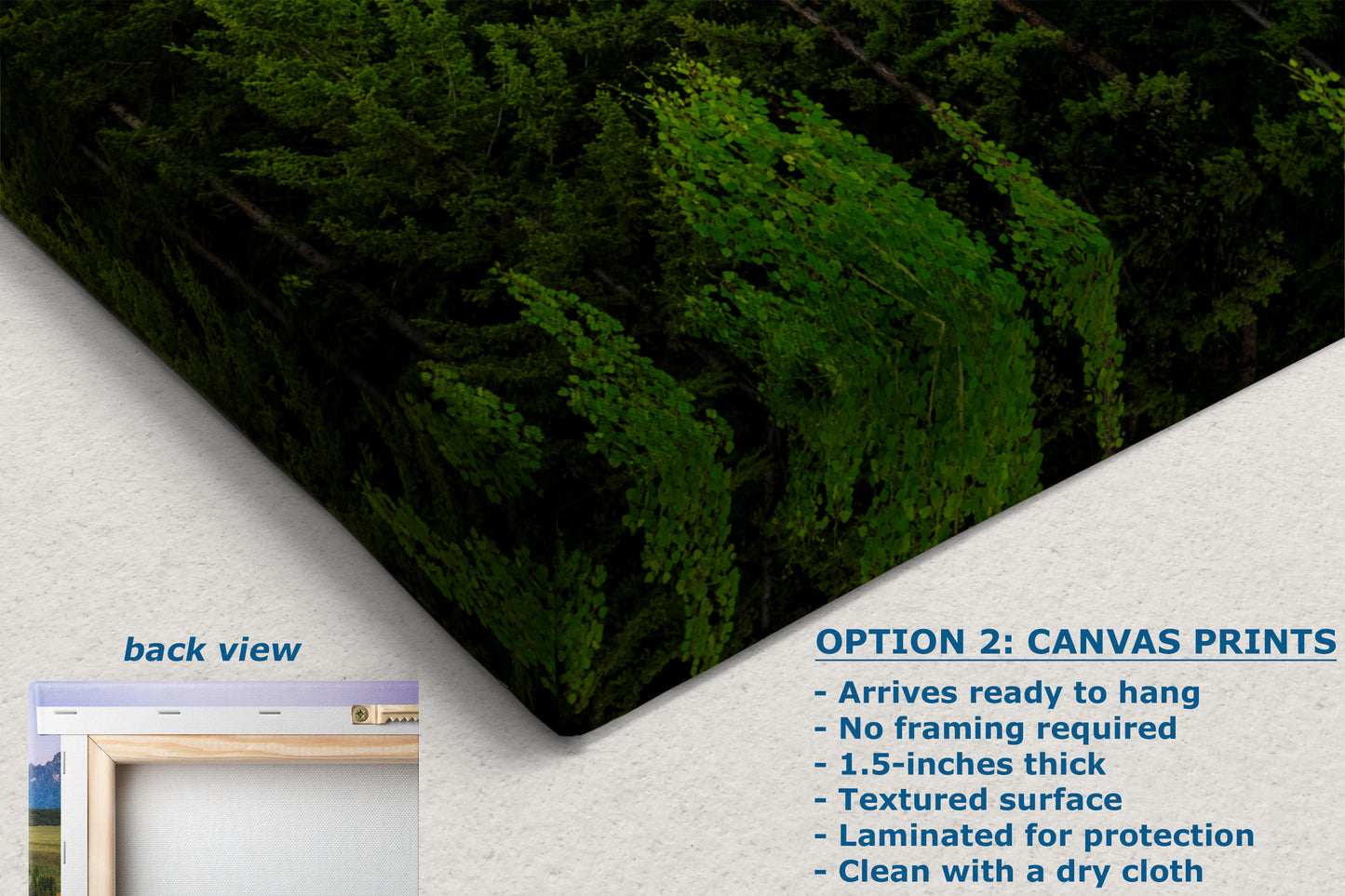 Grand Teton National Park Mountain Picture Panorama Nature Photo, Rustic Wall Art, Jackson Hole Scenery, Bohemian Decor