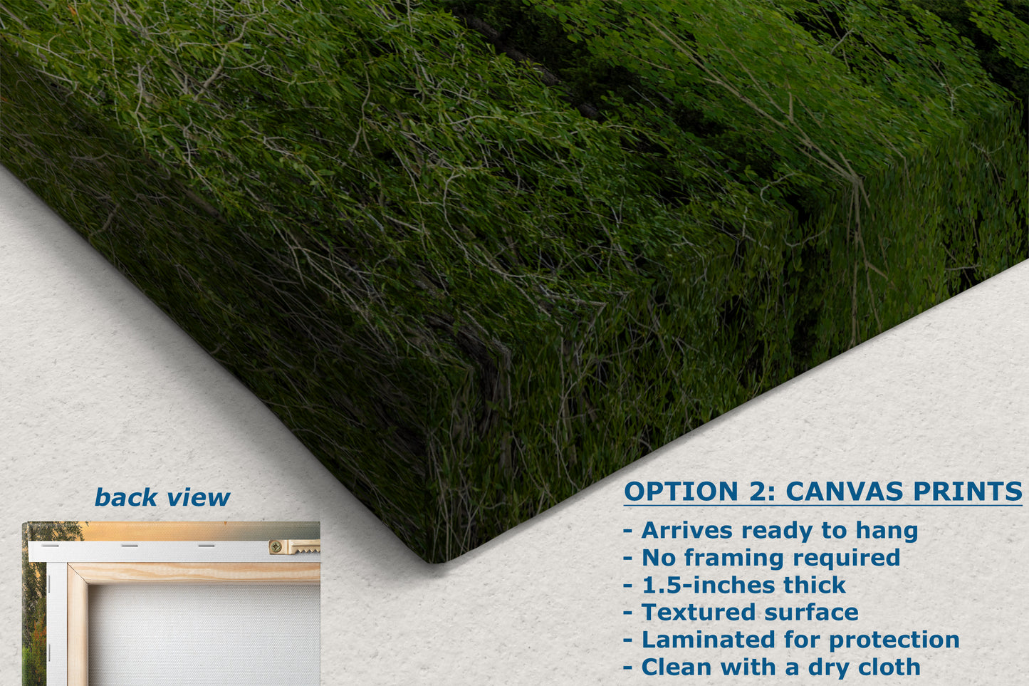 Grand Teton National Park Wyoming Mountain Picture Panorama Nature Photo, Rustic Wall Art, Jackson Hole Scenery, Bohemian Decor