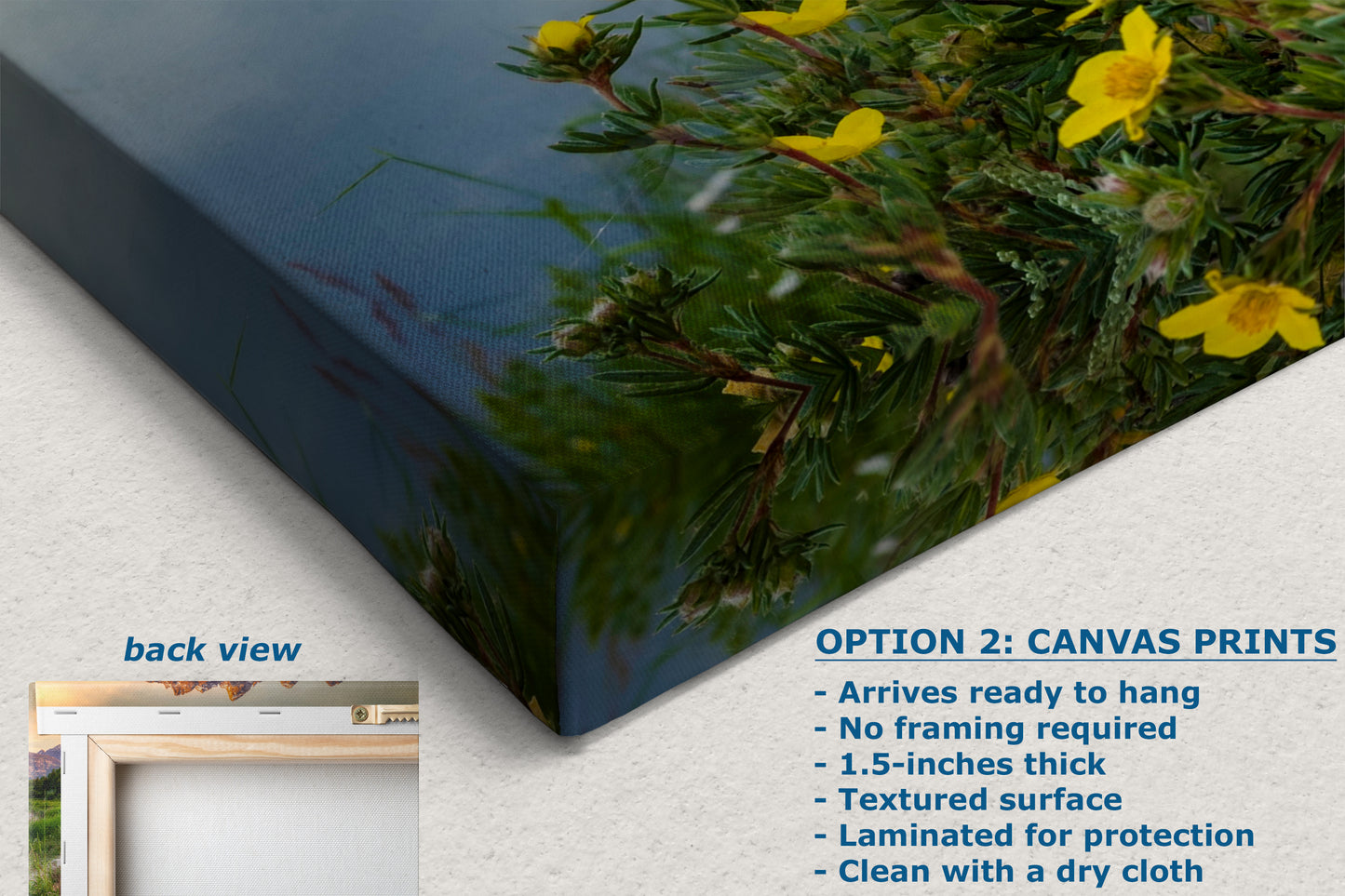 Grand Teton National Park Mountain Picture, Schwabacher Landing Nature Photo for Bohemian Decor and Meditation Artwork