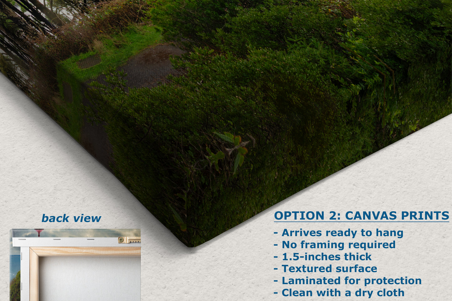 Haceta Head Lighthouse Picture, Oregon Coast Ocean Picture, Pacific Northwest Beach Photo Framed Coastal Decor for Ocean Lovers