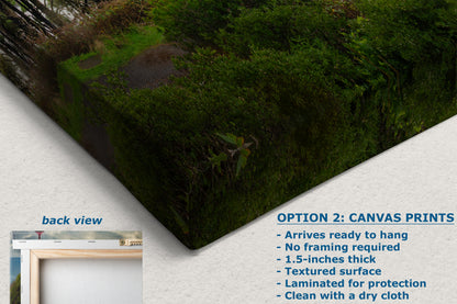 Haceta Head Lighthouse Picture, Oregon Coast Ocean Picture, Pacific Northwest Beach Photo Framed Coastal Decor for Ocean Lovers