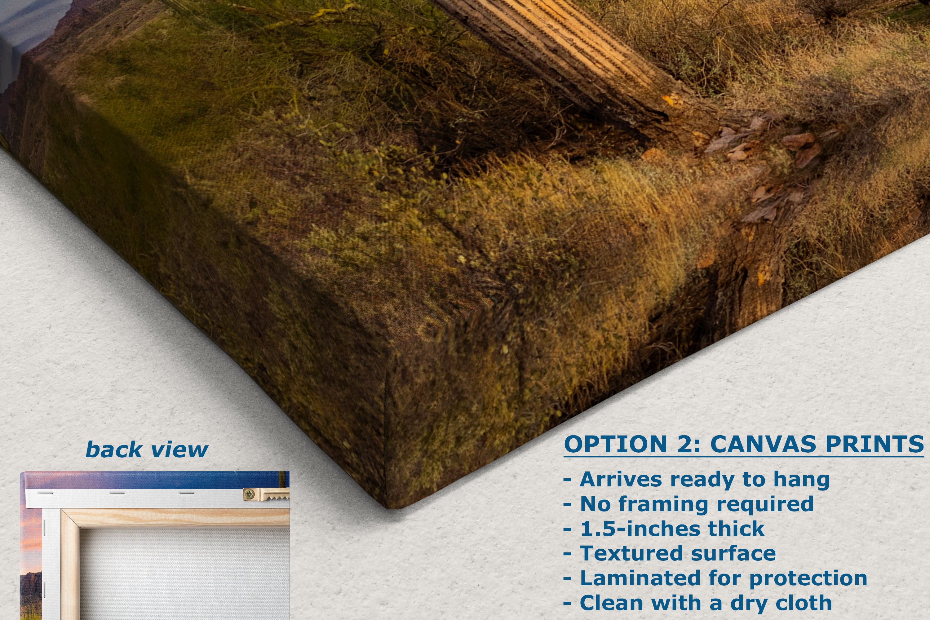 Arizona Desert Picture Sunset, Saguaro Cactus Artwork Nature Photo, Southwestern Wall Art of Superstition Mountains at Lost Dutchman State Park