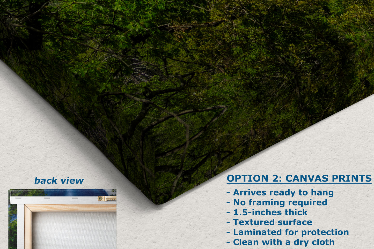 El Capitan Wall Art, Yosemite National Park Nature Photo