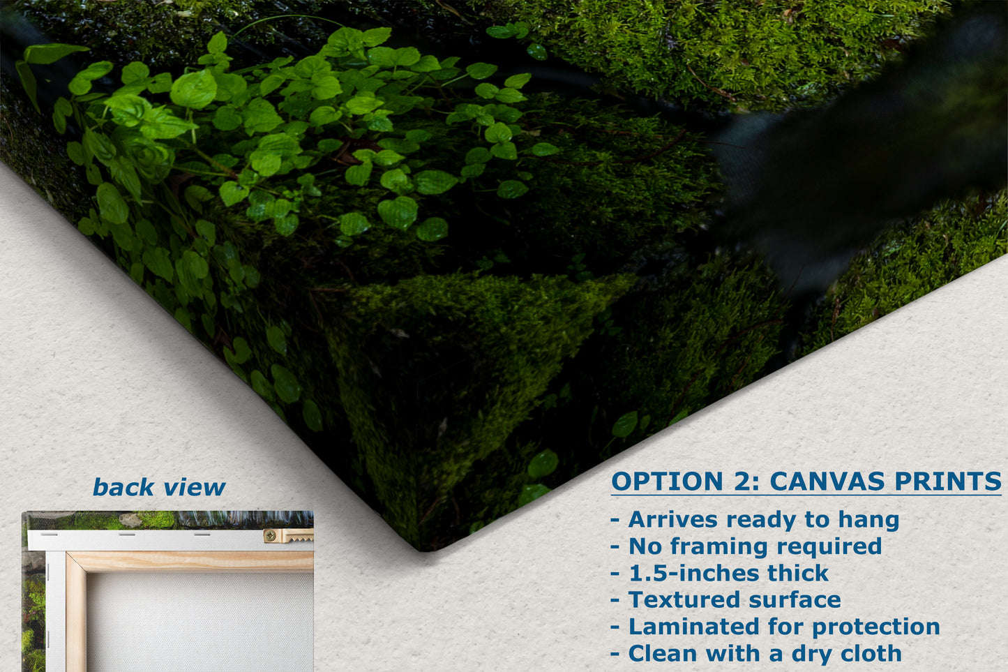 Yosemite National Park Cascading Waterfall Picture Nature Photo Relaxation Artwork for Meditation, Office, Apartment, and House Decor