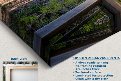 Giant Sequoia Tree Forest Picture Nature Photo | Yosemite Redwood Trees for Nature Lovers & Forest Bathing Relaxation, Meditation Artwork