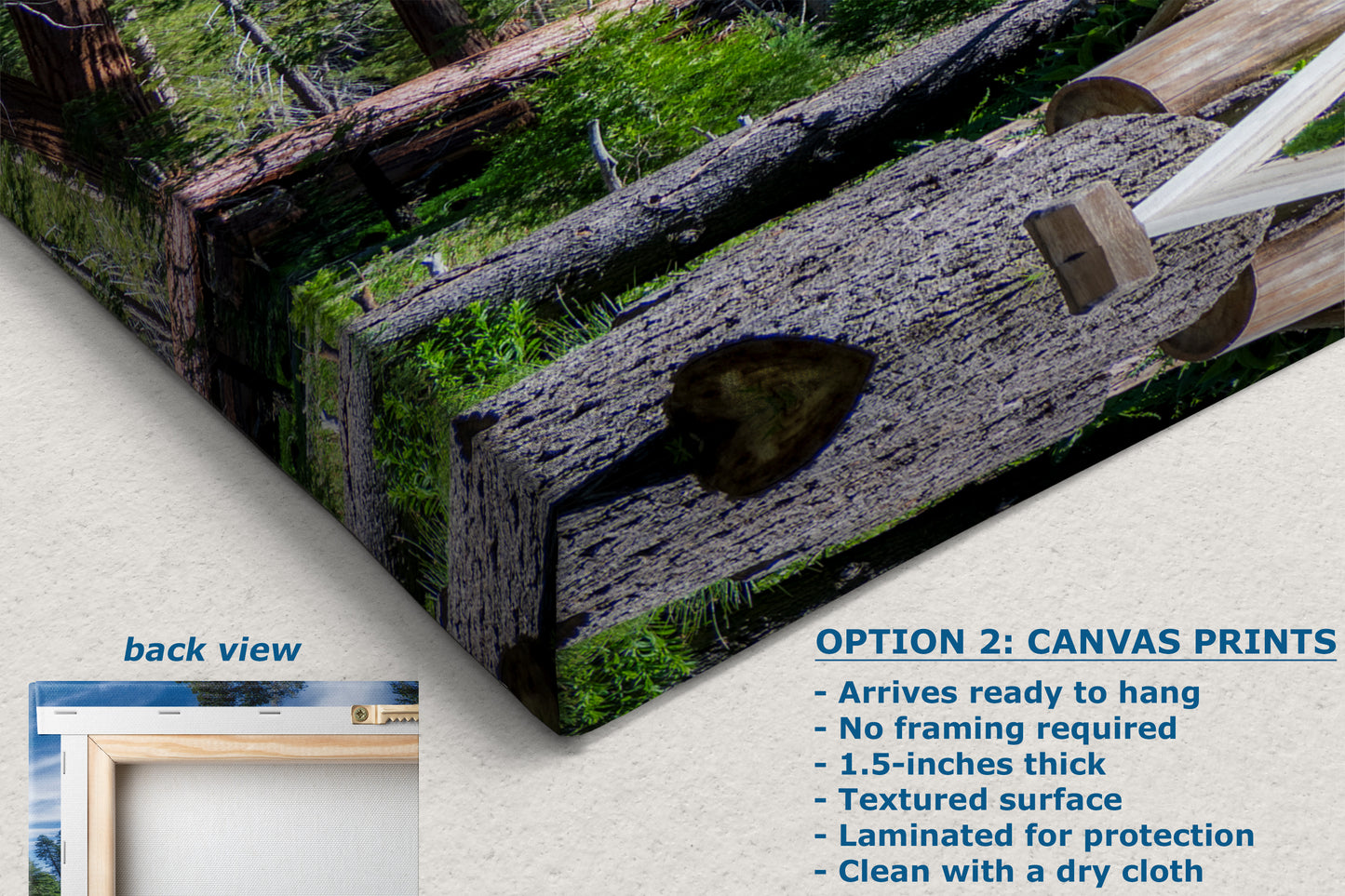 Giant Sequoia Tree Forest Picture Nature Photo, Redwood Trees Forest Bathing Decor, Relaxation Artwork for Home or Office