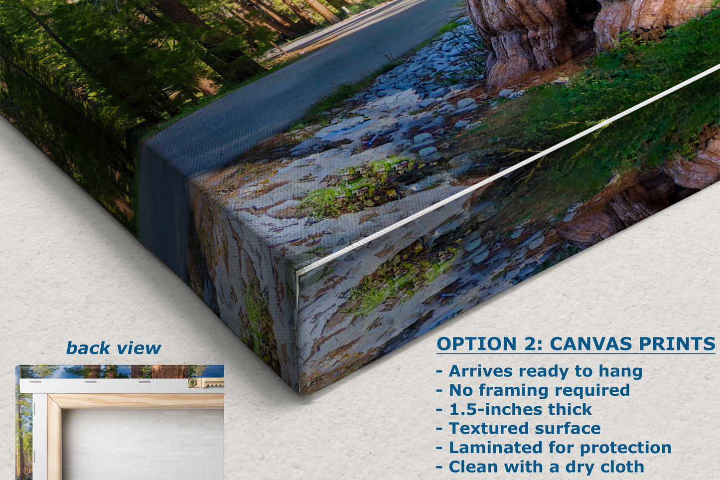 Giant Sequoia Tree Forest Picture Nature Photo, Redwood Trees Forest Bathing for Relaxation and Meditation in Living Room and Office