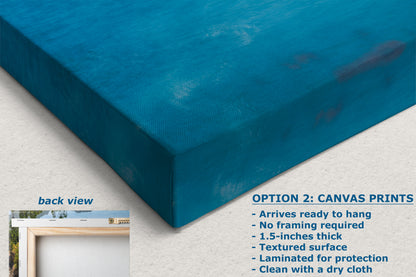 Point Lobos Carmel California Coastline Ocean Picture Seascape, Relaxation Artwork Nature Photo for Meditation, Office, Dorm, House Decor