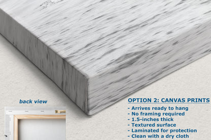 Humpback Whale Marine Mammal Wildlife Photography, Black and White, Monterey Bay Ocean Scene Art Print for Nature Lovers and Marine Conservation Decor