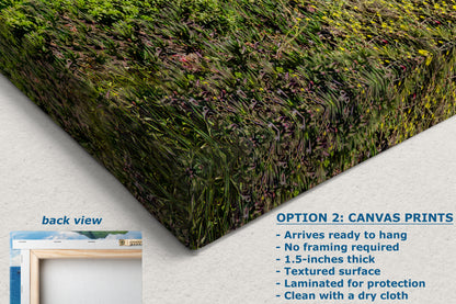 Bixby Bridge Ocean Picture, Big Sur California Coastline Nature Photo Panorama, Relaxation Artwork for Meditation, Office, & House Decor