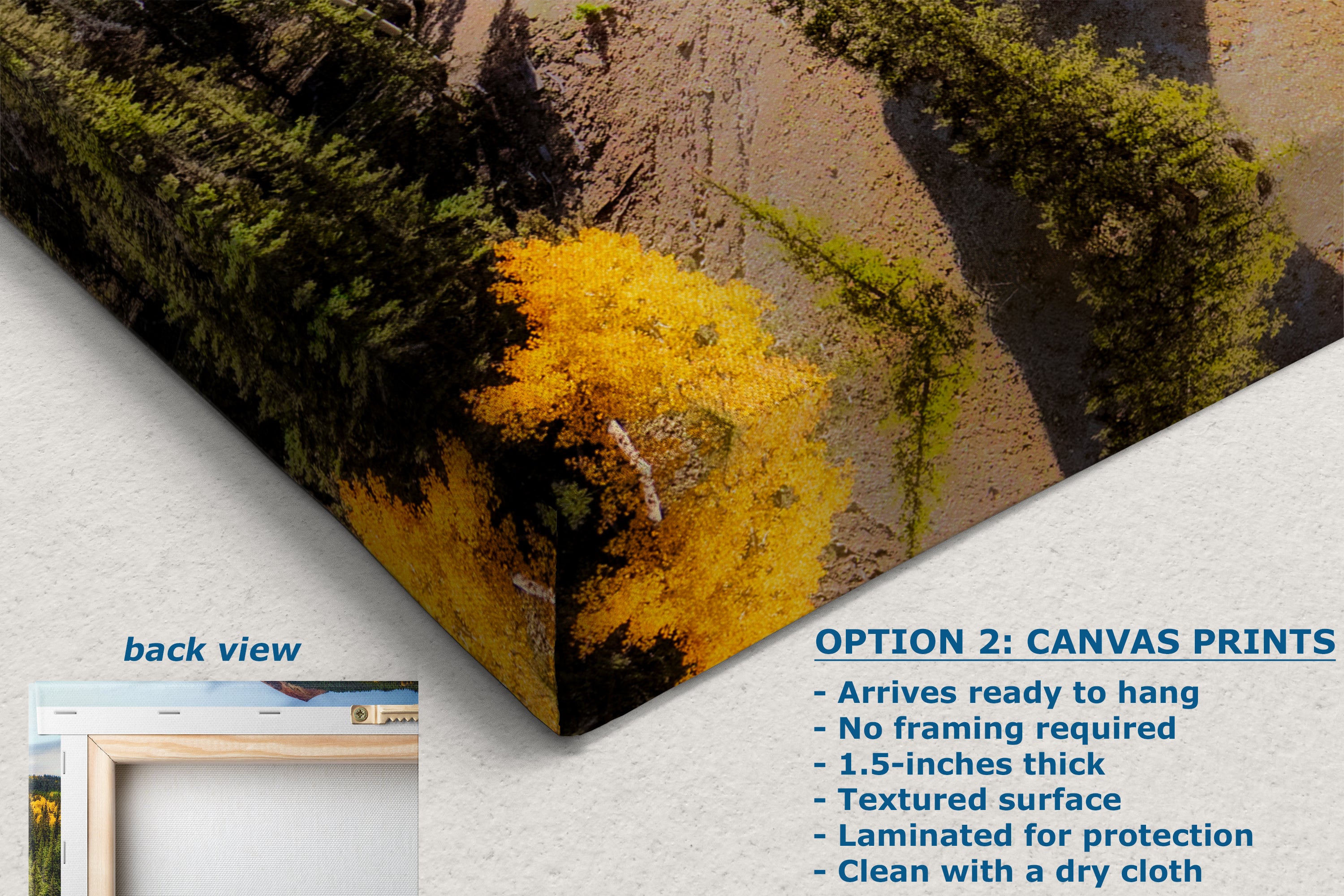 Colorado Boy Mine, San Juan Mountain Picture, Fall Colors Aspen Trees Forest Picture Nature Photo for Relaxation Artwork, Meditation and House Decor