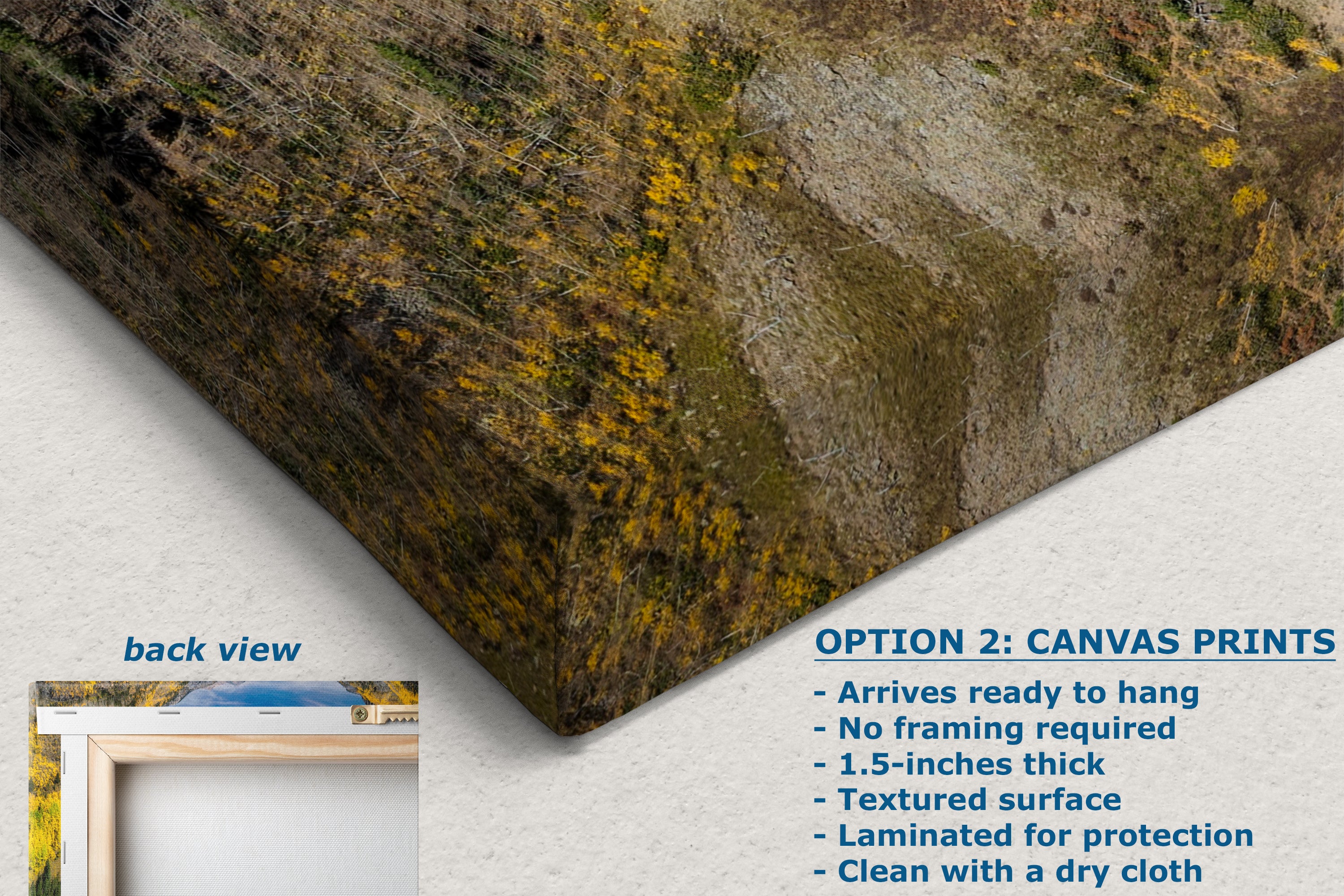 Colorado San Juan Mountain Picture, Million Dollar Highway Fall Colors Aspen Trees Forest Picture, Nature Photo for Relaxation Artwork, Meditation and House Decor