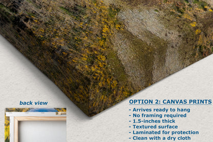 Colorado San Juan Mountain Picture, Million Dollar Highway Fall Colors Aspen Trees Forest Picture, Nature Photo for Relaxation Artwork, Meditation and House Decor