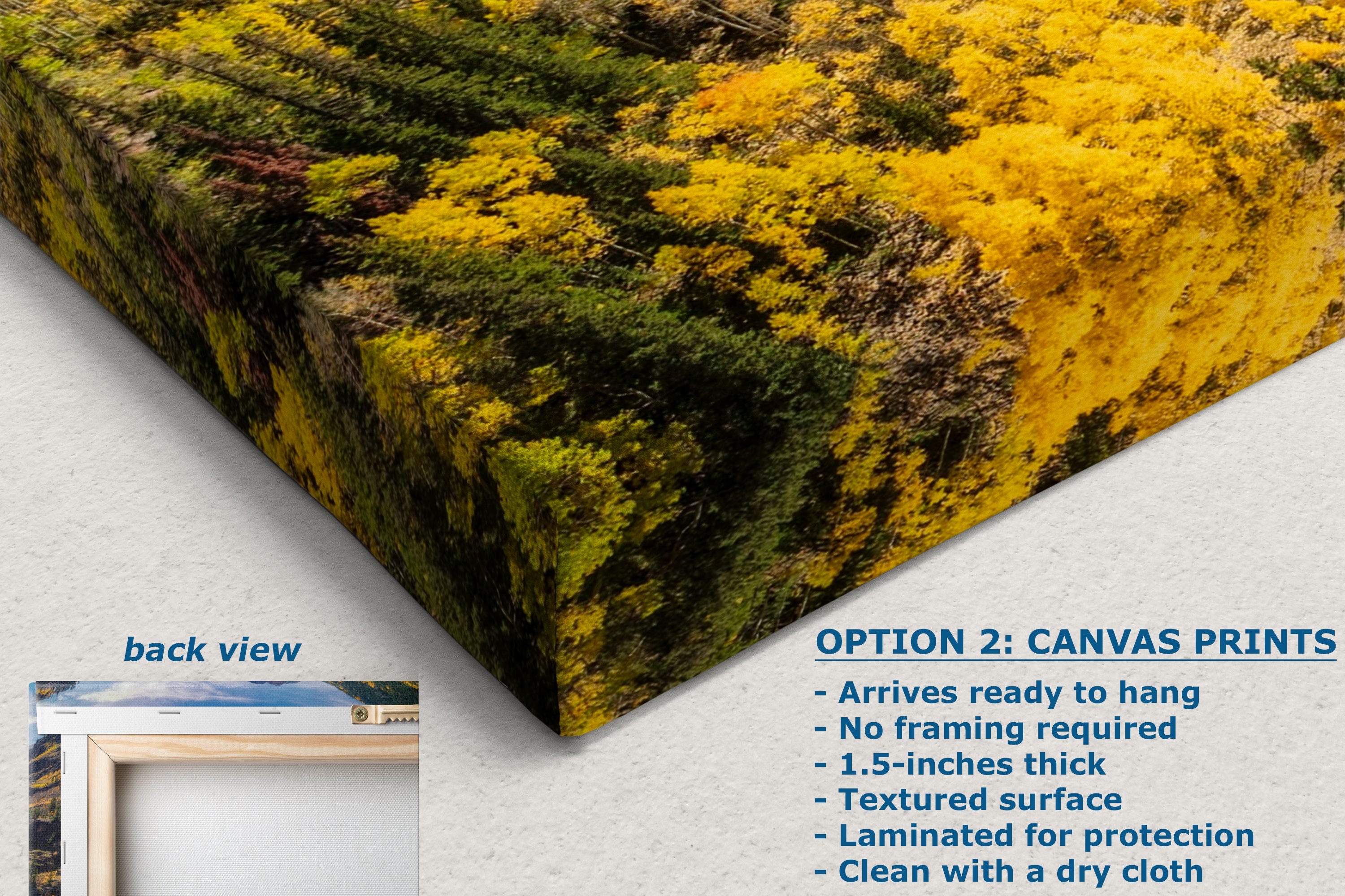 Colorado San Juan Mountain Picture, Fall Colors Aspen Trees Forest, Million Dollar Highway Nature Photo for Relaxation Artwork, Meditation and House Decor