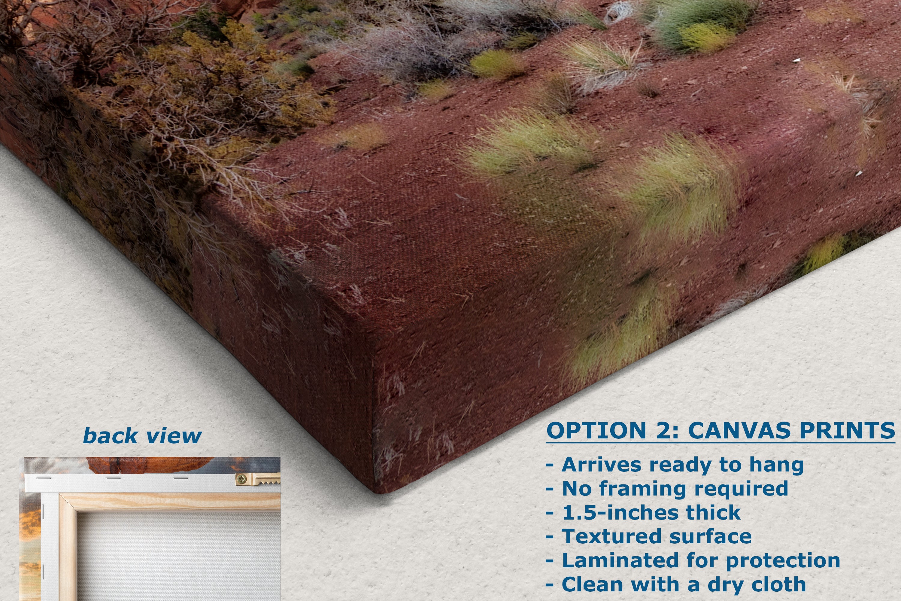 Monument Valley Arizona Desert Picture Cactus Nature Photo, Bohemian Style Relaxation Artwork for Meditation, Apartment, Office & House Decor