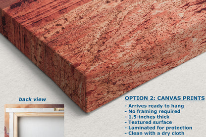 Monument Valley Panorama Arizona Desert Picture Nature Photo, Bohemian Style Relaxation Artwork for Meditation, Apartment, Office & House Decor