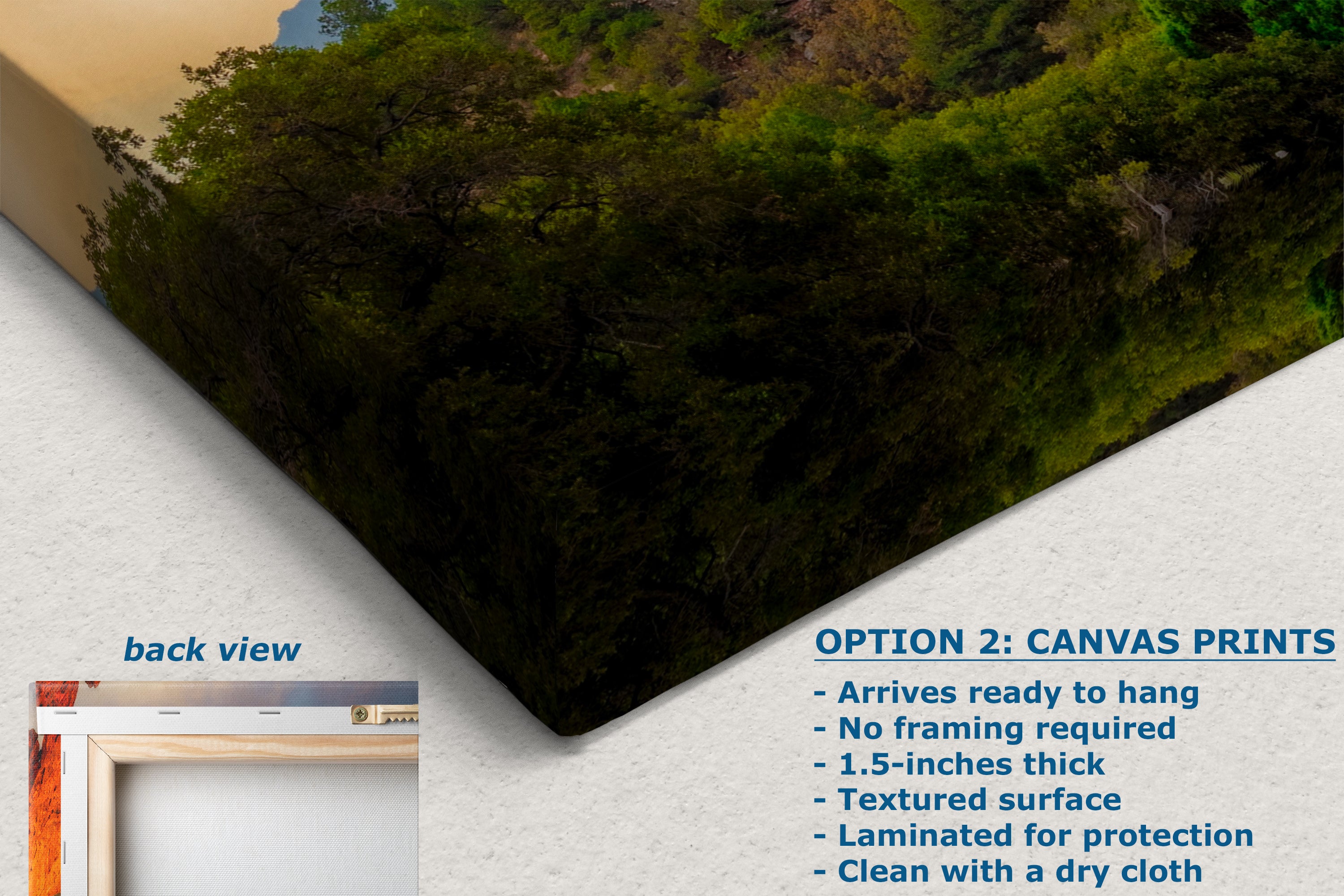 Garden of the Gods Colorado Mountain Picture, Vibrant Rocky Mountain Nature Photo for Meditation Relaxation and Bohemian Decor