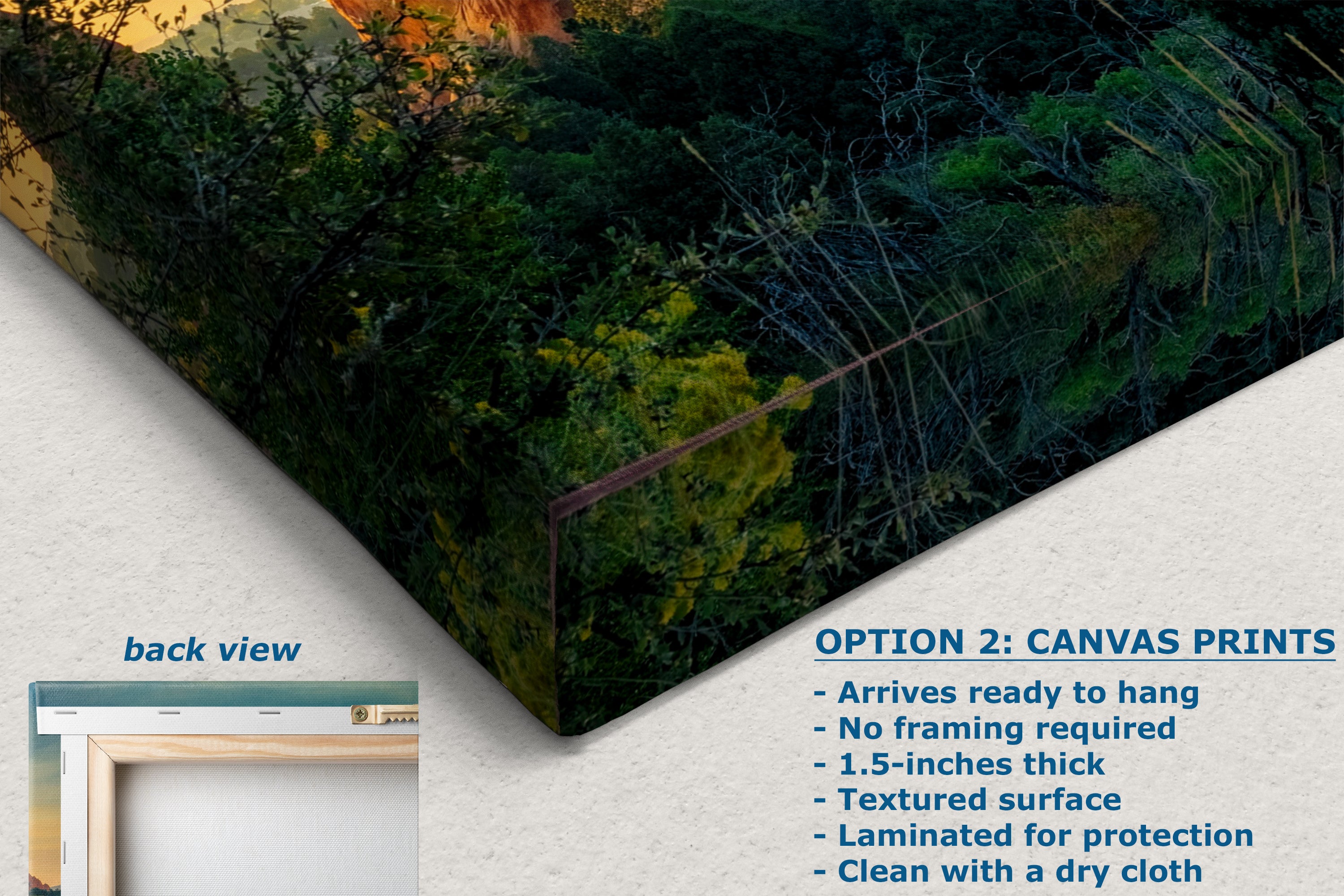 Garden of the Gods Colorado Mountain Picture, Nature Photo of Rocky Mountains for Meditation Relaxation Artwork Bohemian House Decor