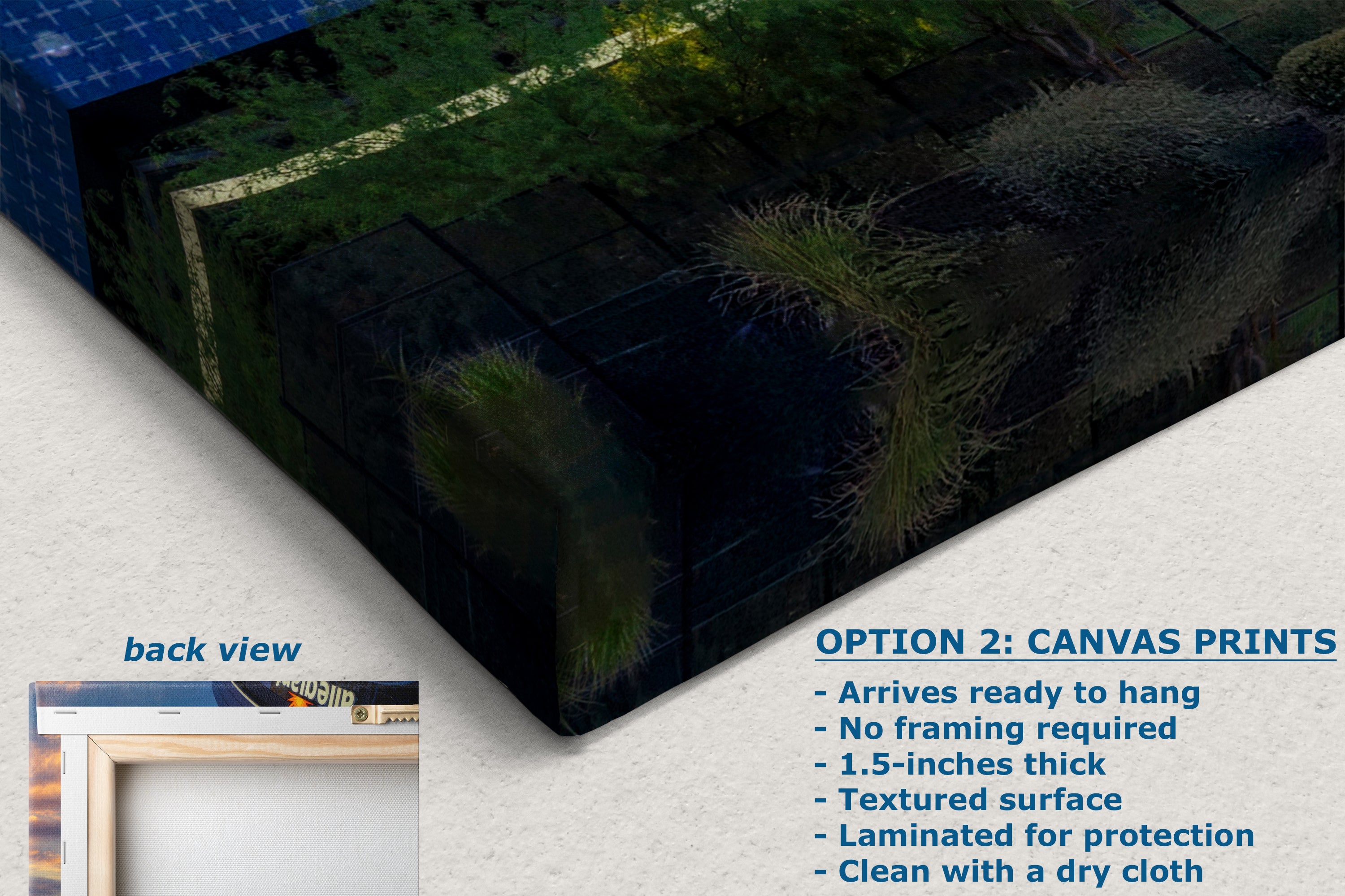 Las Vegas Raiders Football Gift Decor, Allegiant Stadium Photograph Poster, NFL Man Cave, Dorm Room & Office Wall Art