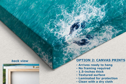 Oregon Coast Ocean Picture, Pacific Northwest Nature Photo