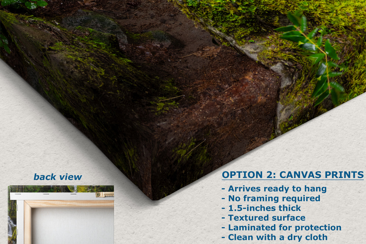 Oregon Pacific Northwest Waterfall Picture Nature Photo Relaxation Artwork in Bohemian Style for Meditation, Office, Apartment, House Decor