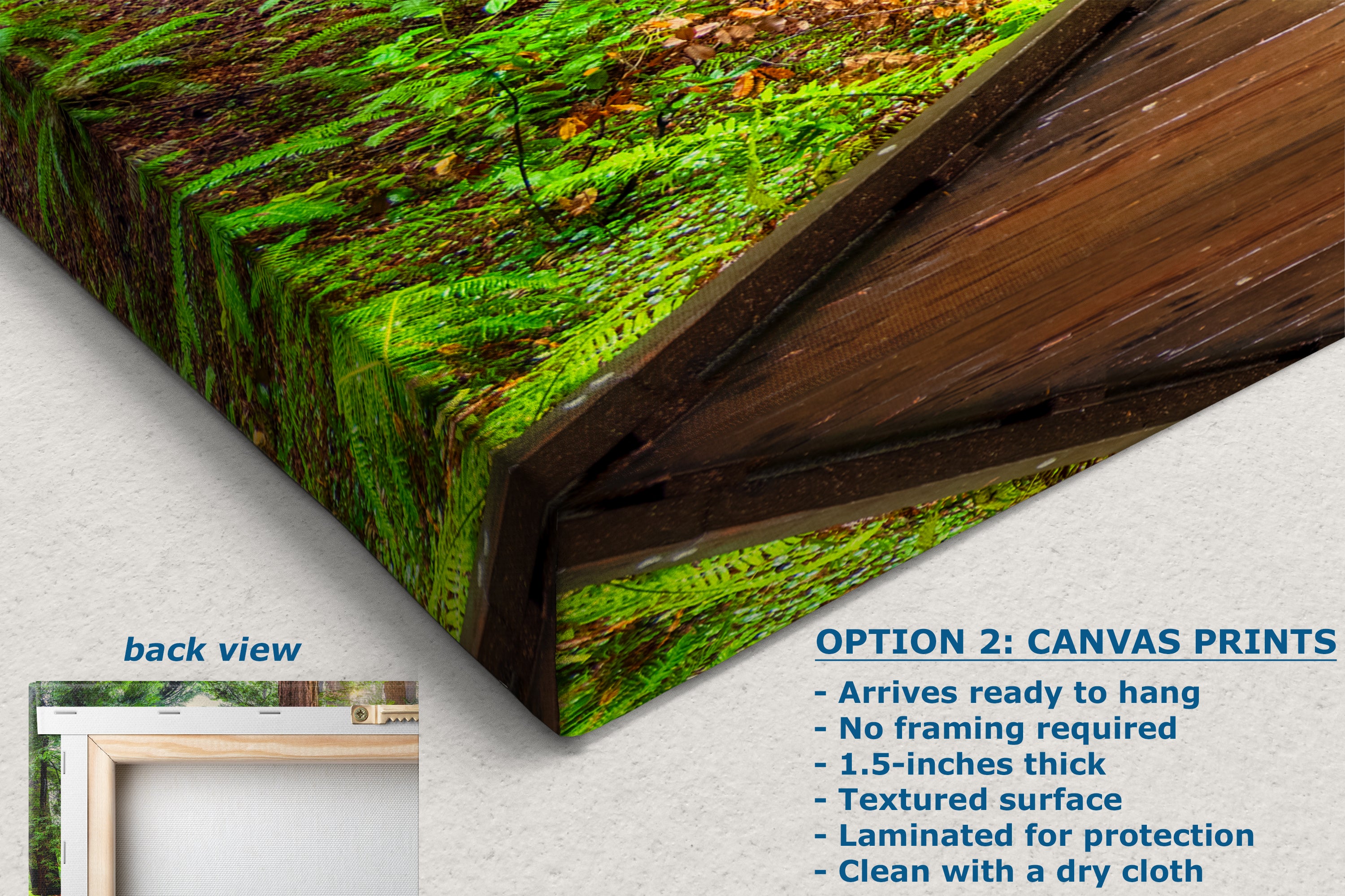 Redwood Trees Forest Picture Sunrise Nature Photo, Forest Bathing House Decor, Relaxing Wall Art for Meditation, Home and Office