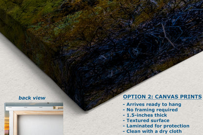 Saguaro National Park Arizona Desert Picture Nature Photo, Bohemian Style Relaxation Artwork, Southwestern Sonoran Desert House Decor