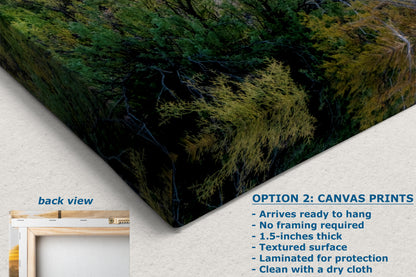 Saguaro National Park Arizona Desert Picture Sunset Nature Photo, Bohemian Style Relaxation Artwork, Southwestern Sonoran Desert House Decor