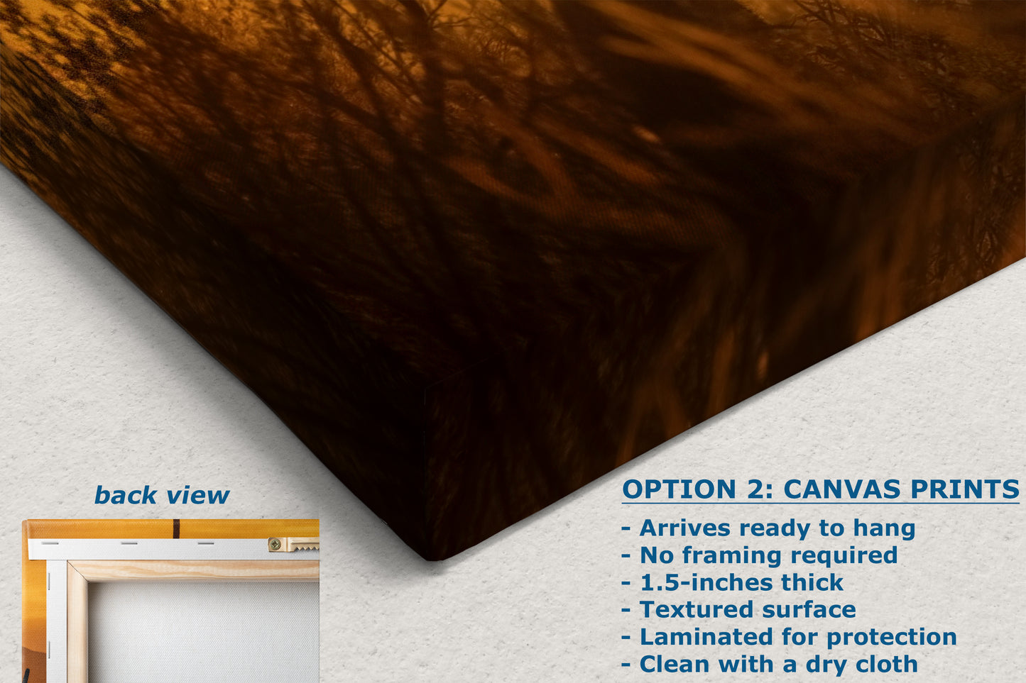 Saguaro National Park Arizona Desert Picture Nature Photo Silhouette, Bohemian Style Relaxation Artwork, Southwestern Sonoran Desert House Decor