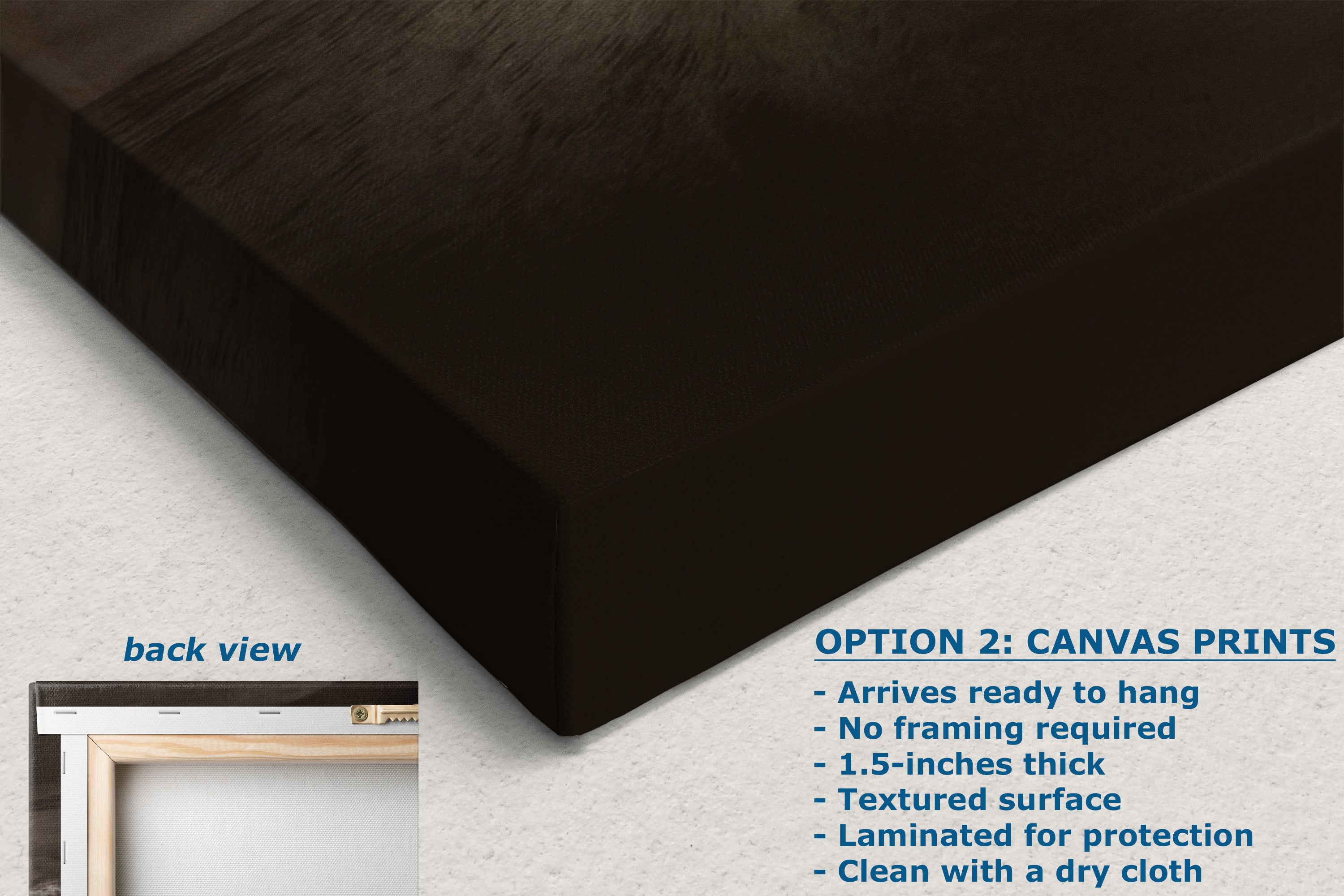 California Sea Lion Marine Mammal Wildlife Photography, Ocean Animals, Coastal House Decor, Nature Lover Gift, Marine Biology Artwork