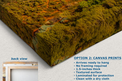 Cathedral Rock, Sedona Arizona Desert Picture Nature Photo Relaxation Artwork for Meditation, Office, and House Decor