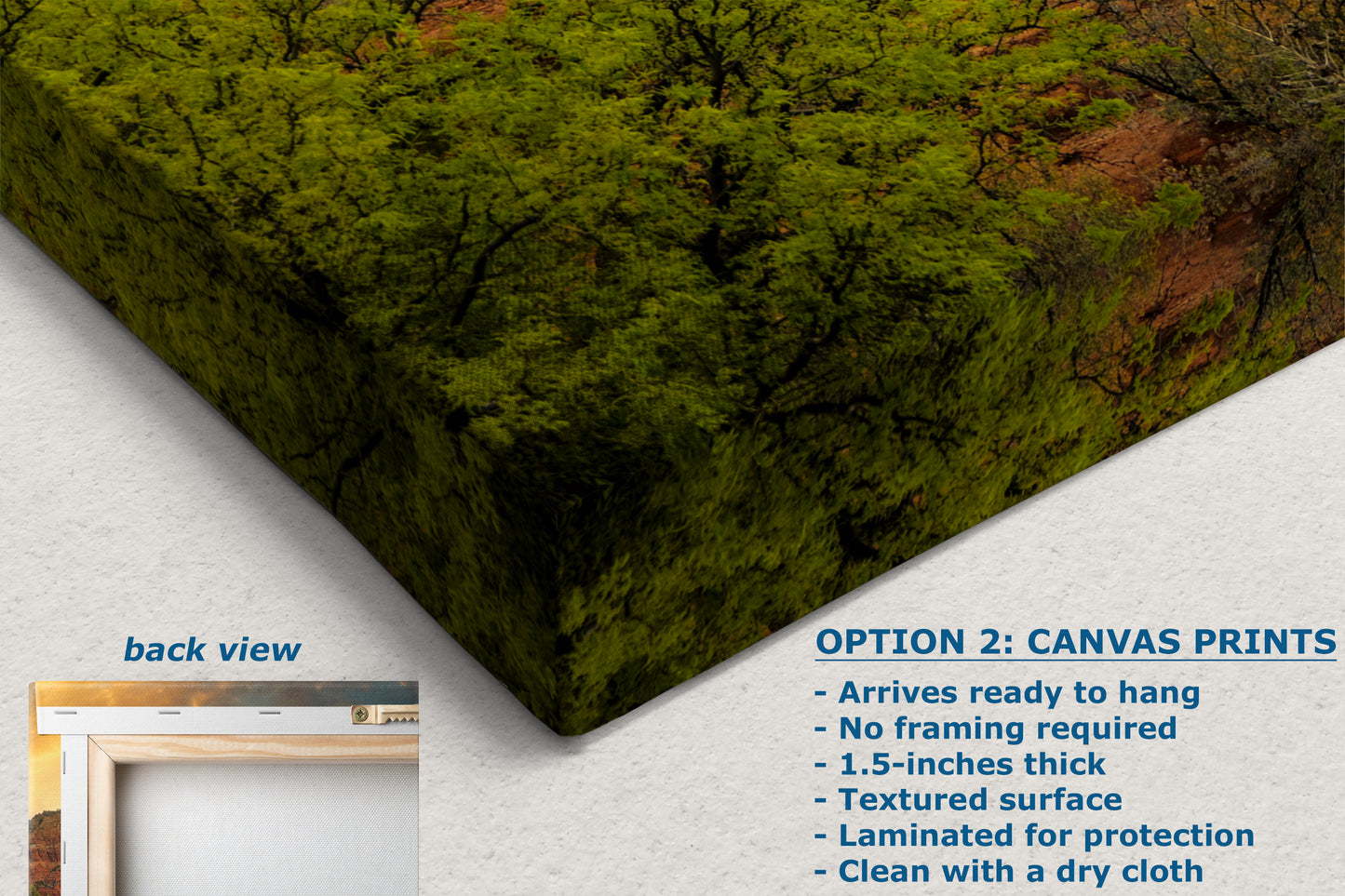 Chapel of the Holy Cross Sedona Arizona Desert Picture, Southwestern Wall Art, Church Landscape Print, Office Decor, Cubicle & Home Wall Art