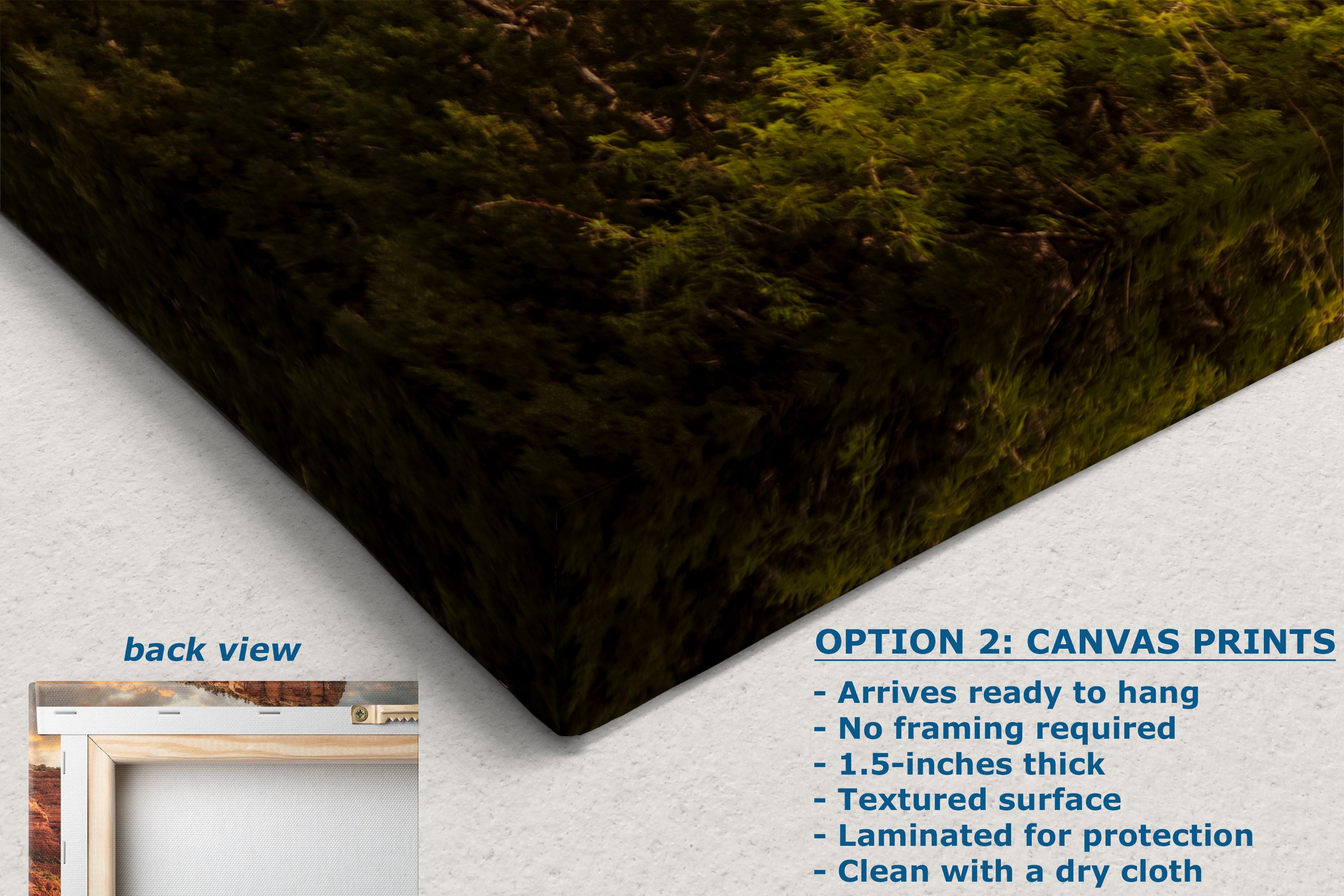 Chapel of the Holy Cross Sedona Arizona Desert Picture, Southwestern Nature Photo, Church and Canyon Photography, Canvas Print