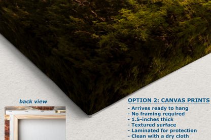 Chapel of the Holy Cross Sedona Arizona Desert Picture, Southwestern Nature Photo, Church and Canyon Photography, Canvas Print