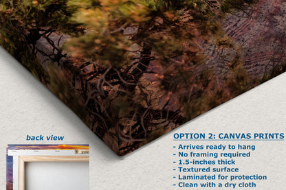 Grand Canyon National Park, Arizona Desert Picture Nature Photo, Bohemian Style Relaxation Artwork for Meditation, Office & House Decor