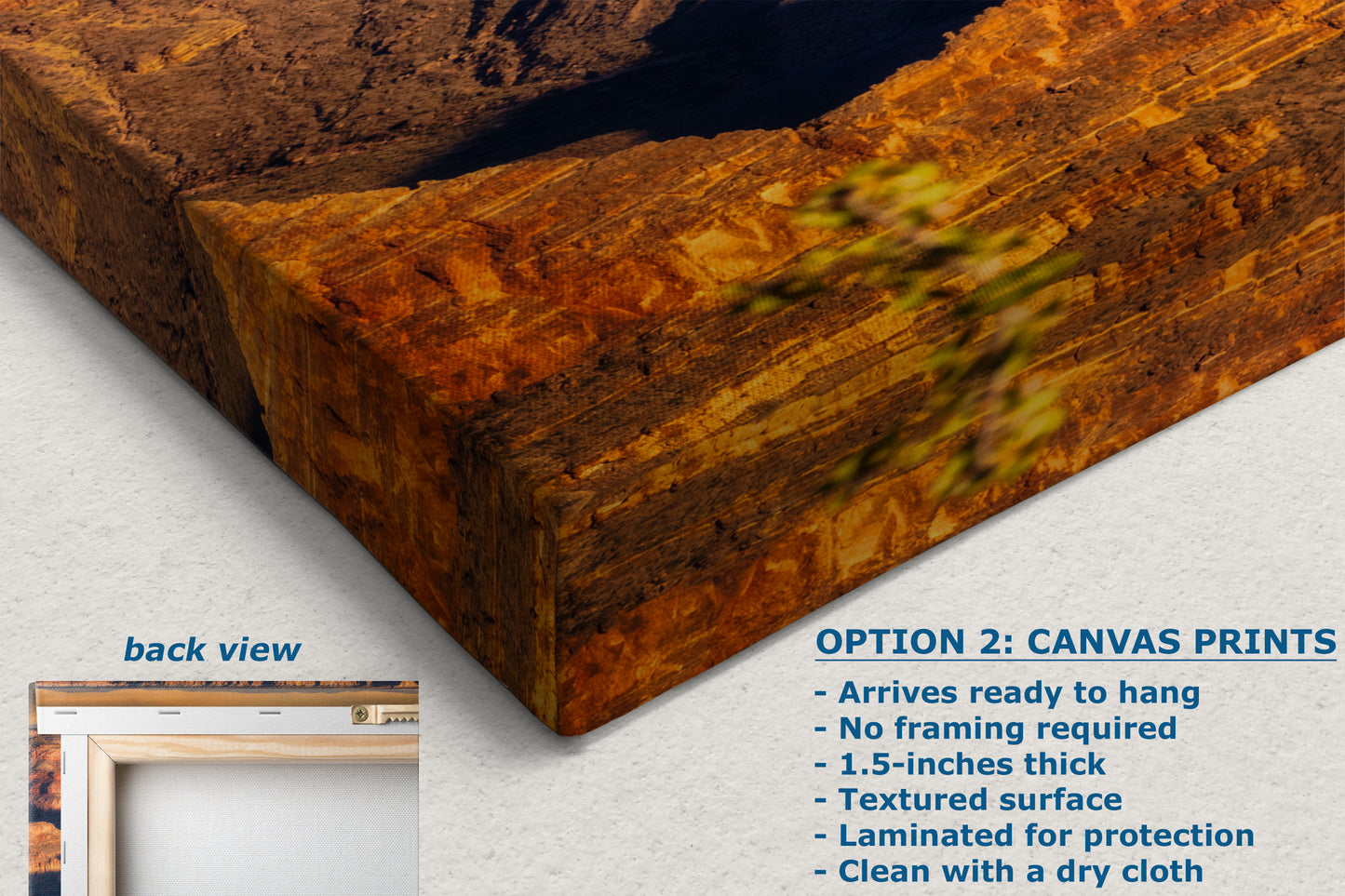 Grand Canyon National Park, Arizona Desert Picture Nature Photo, Bohemian Style Relaxation Artwork for Meditation, Apartment, Office & House Decor