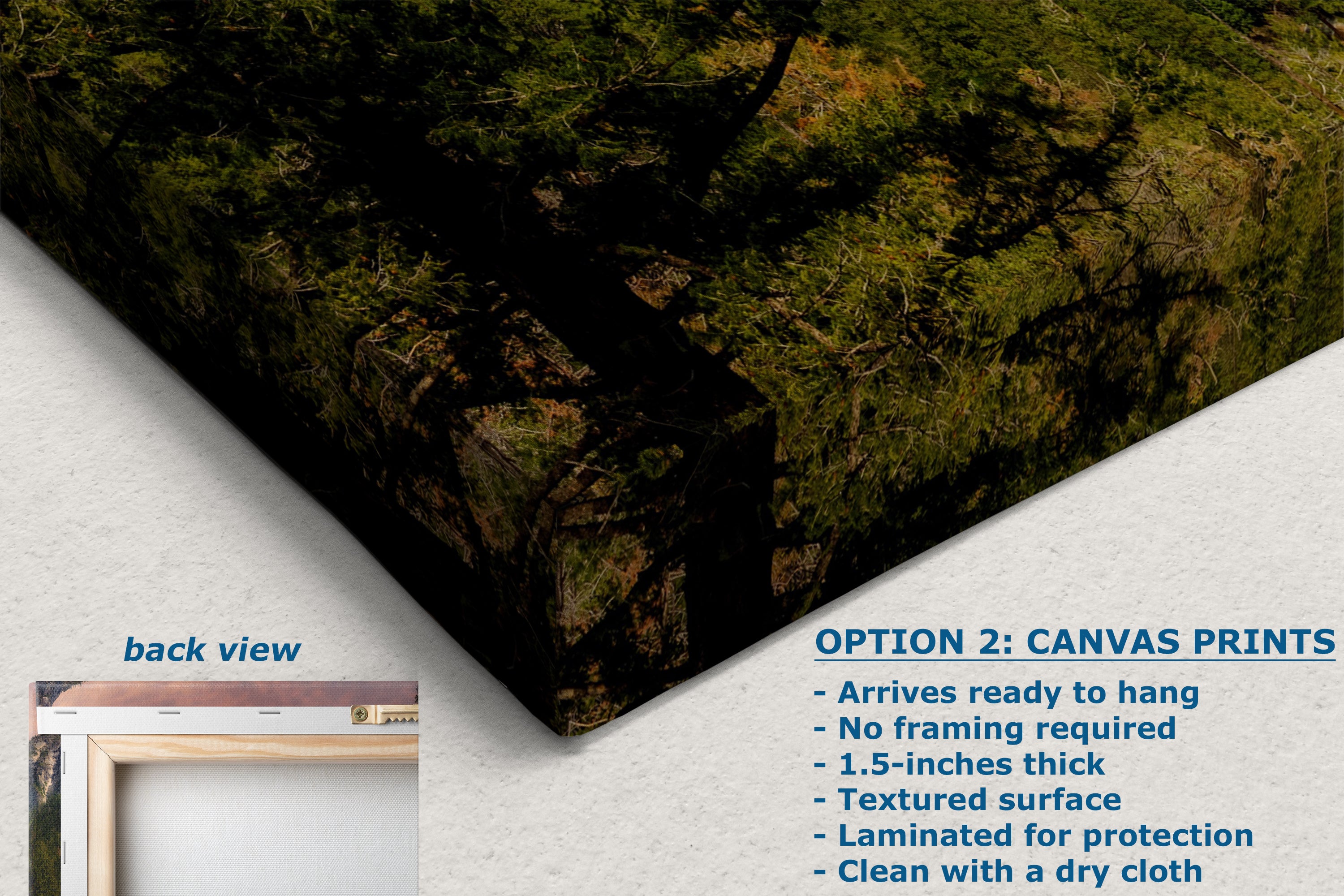 Yosemite National Park Mountain Picture Nature Photo Bohemian Relaxation Artwork for Meditation