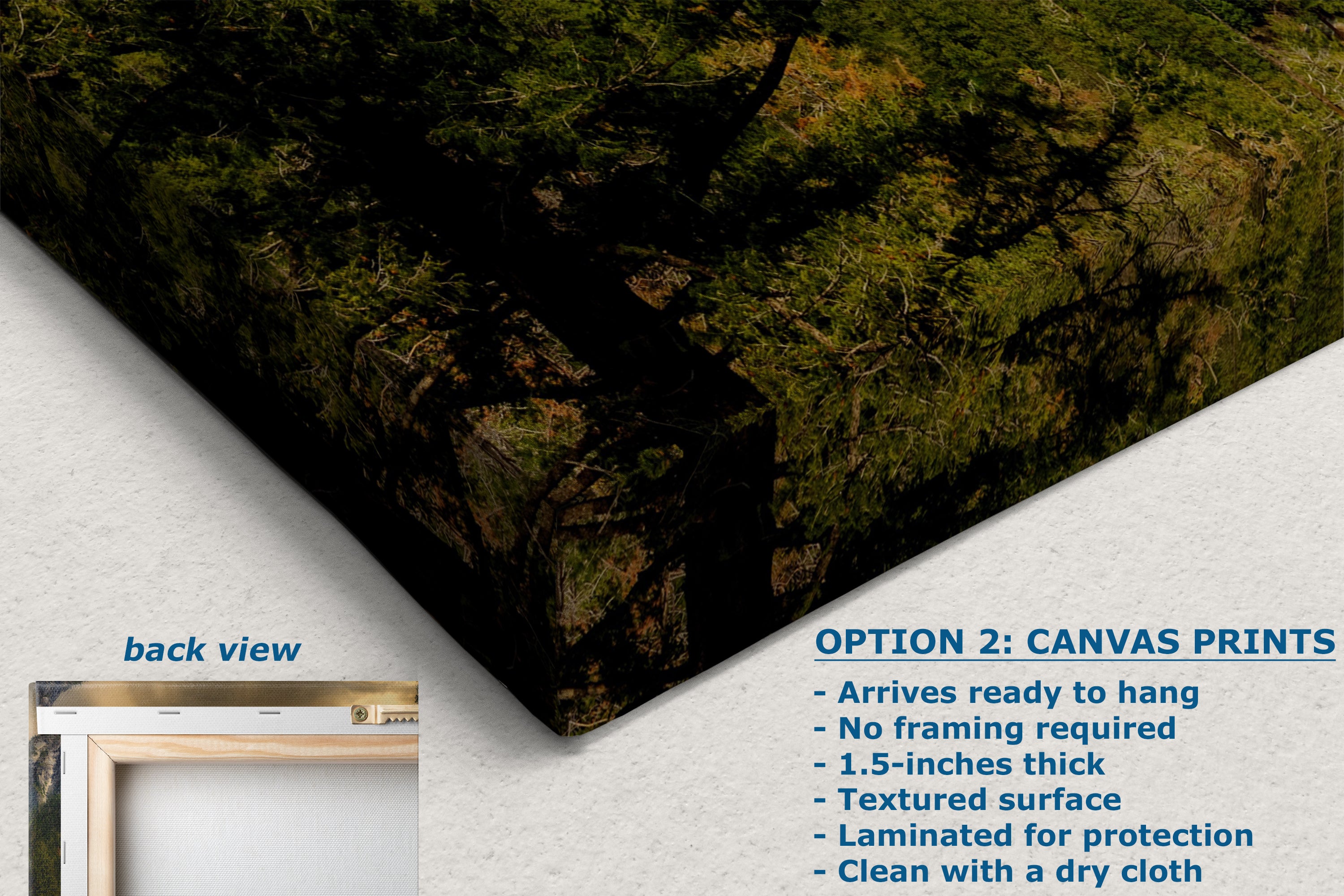 Yosemite National Park Mountain Picture Nature Photo Bohemian Relaxation Artwork for Meditation