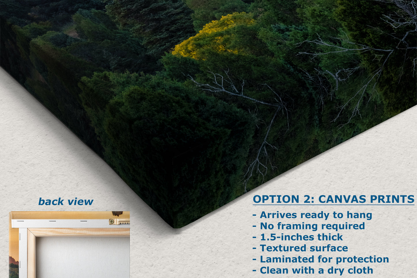 Garden of the Gods Colorado Mountain Photo - Serene Rocky Mountain Nature Photo for Meditation Home Decor