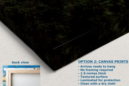 San Francisco Golden Gate Bridge Picture California Coastline | Panoramic Photo or Home Decor, Office, Dorm Room, Gift for Him, Housewarming